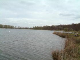 The Broads