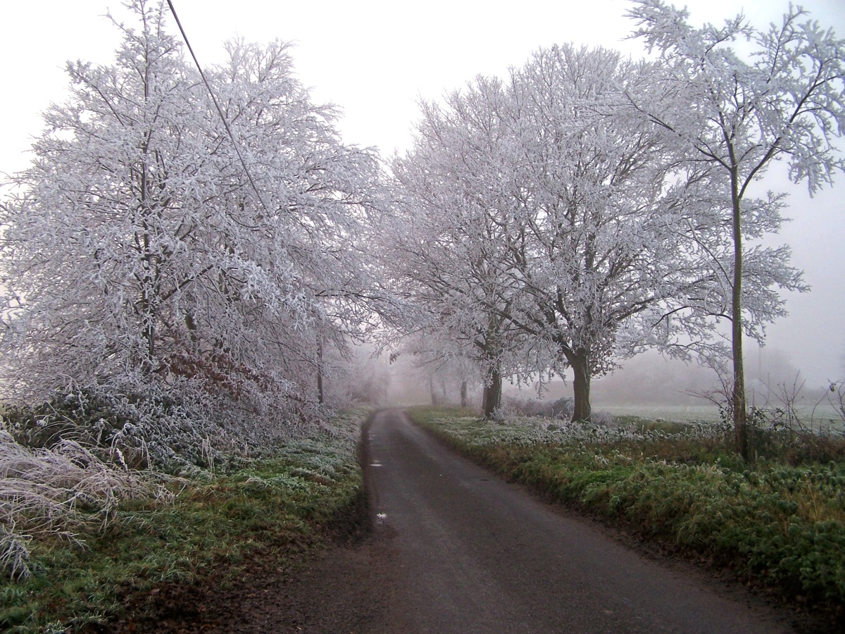 Thrandeston in winter